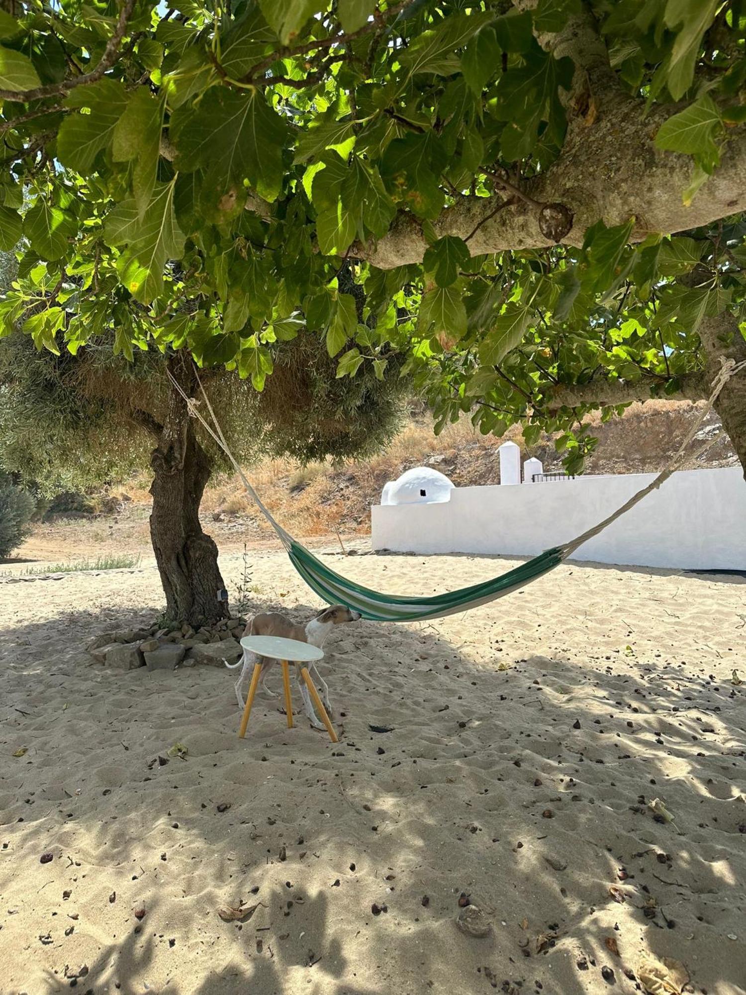 Magnifica Casa A Orillas Del Guadiana هويلفا المظهر الخارجي الصورة